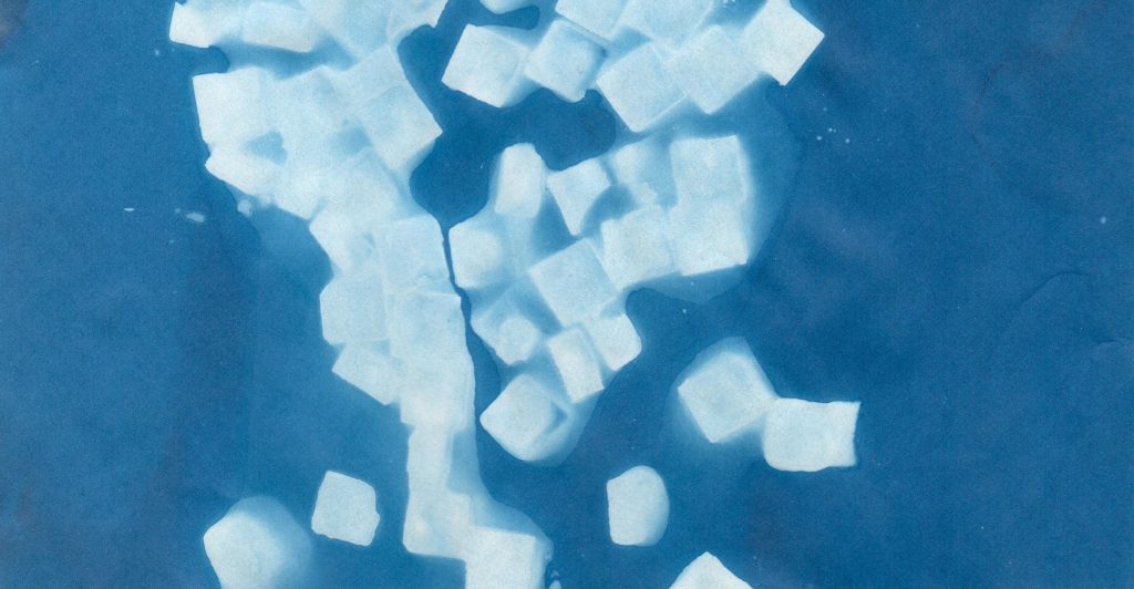 Cyanotype.  Love, Chloe.